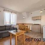Lam *